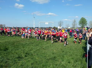 九游官网下载电脑版-青少年体育活动参与动机分析，青少年参加体育运动的动机