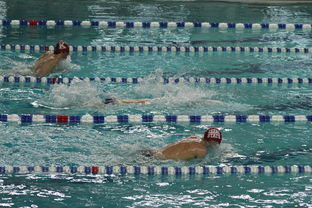 九游app官网下载-“世界游泳锦标赛：2025新加坡赛场泳池掀起速度与优雅的碰撞”